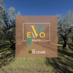 Fratelli De Cesare – EVO3 FRATELLI